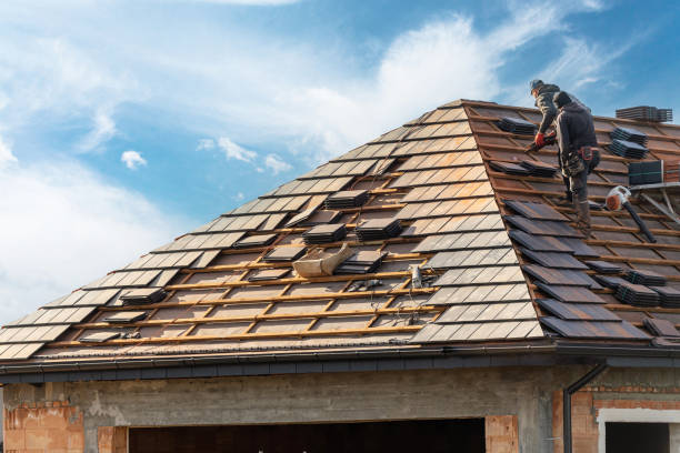 Professional Roofing services in Senoia, GA